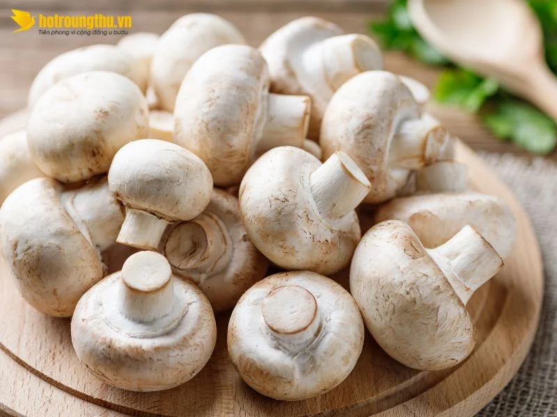 Nấm Agaricus dạng chiết xuất