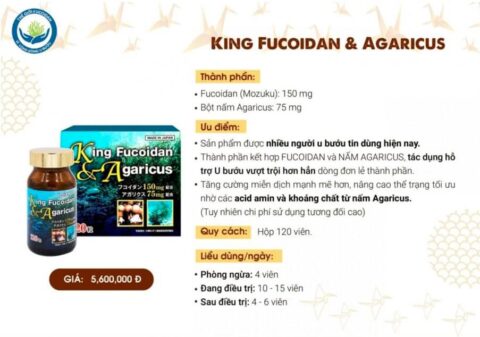 Sản phẩm King Fucoidan & Agaricus Japan 120 viên
