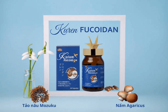 Kuren Fucoidan - sự kết hợp của Fucoidan và Agaricus