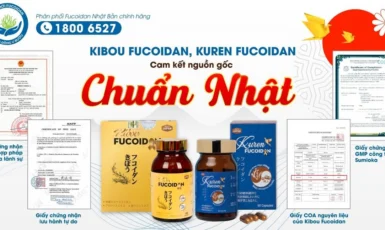 Kibou Fucoidan và Kuren Fucoidan