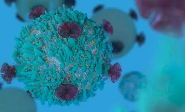 Tế bào lympho T bị ảnh hưởng có tiên lượng xấu hơn tế bào B