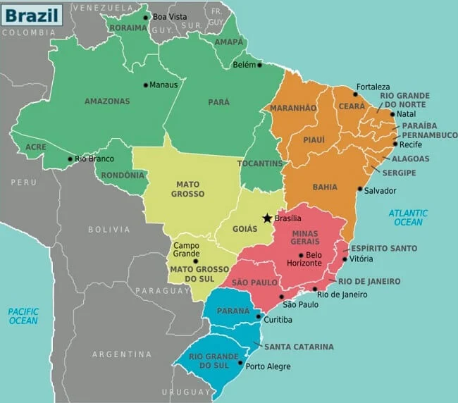 Nấm Agaricus chủ yếu xuất xứ tại Brazil